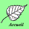 Accueil